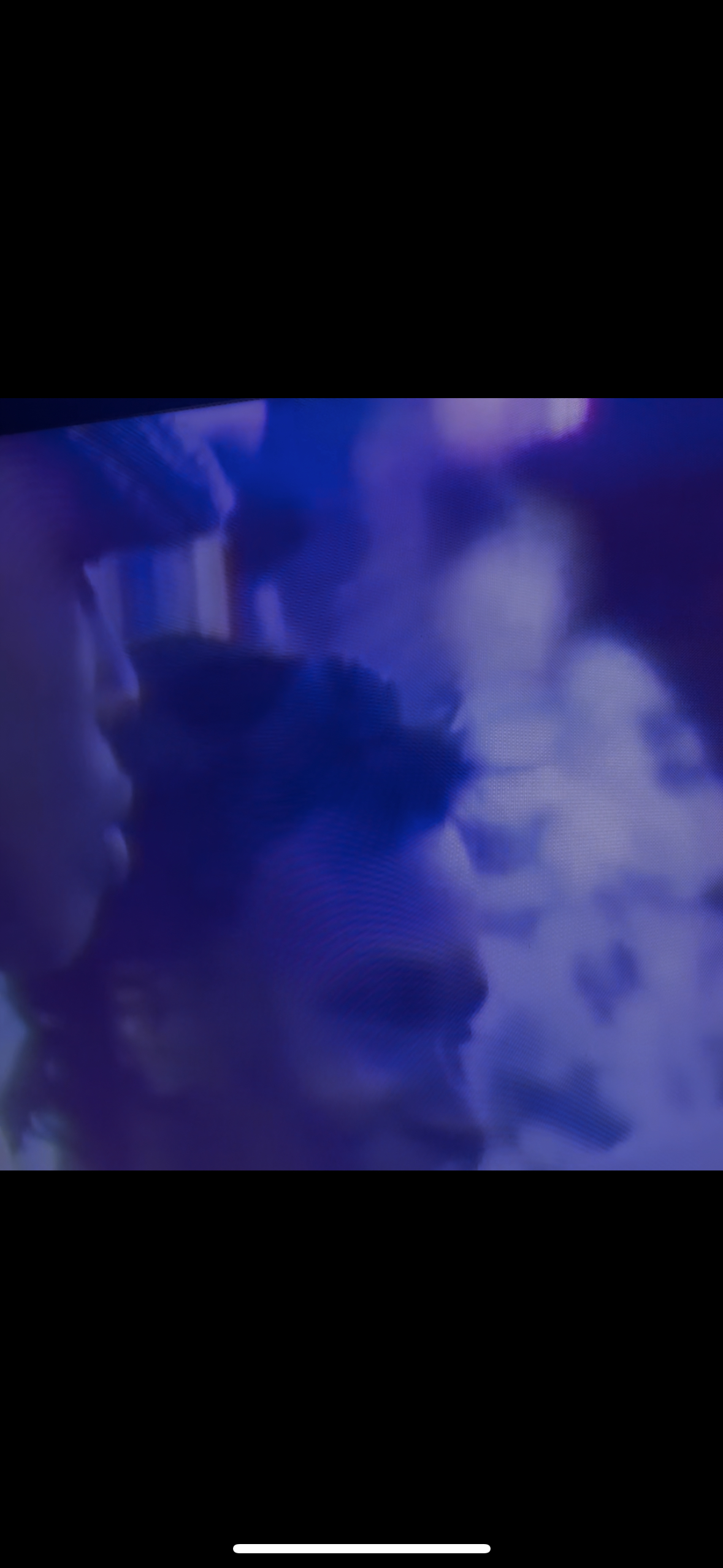 Racial Ratio Doctrine Exhibit Thumbnail